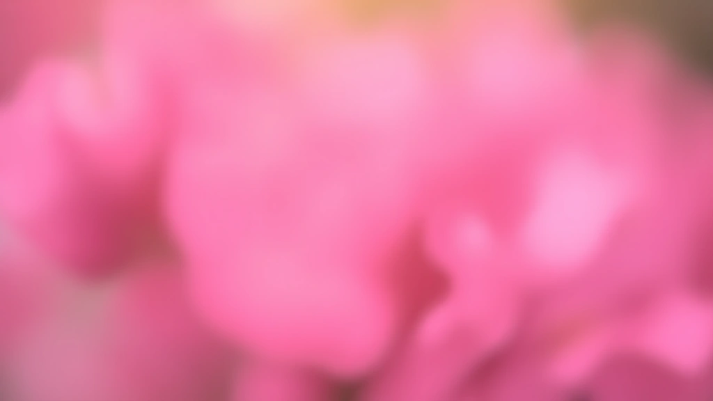 az state tax refund status - 
soft focus background
