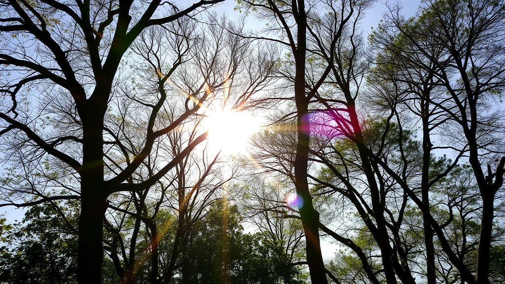 tax season meme - 
natural lighting
